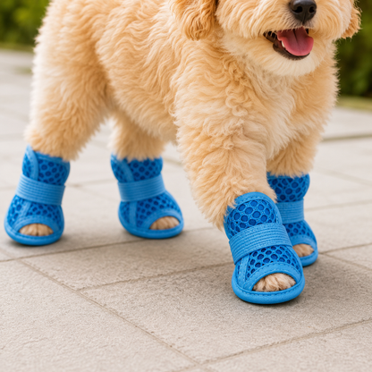 WalkPaw™