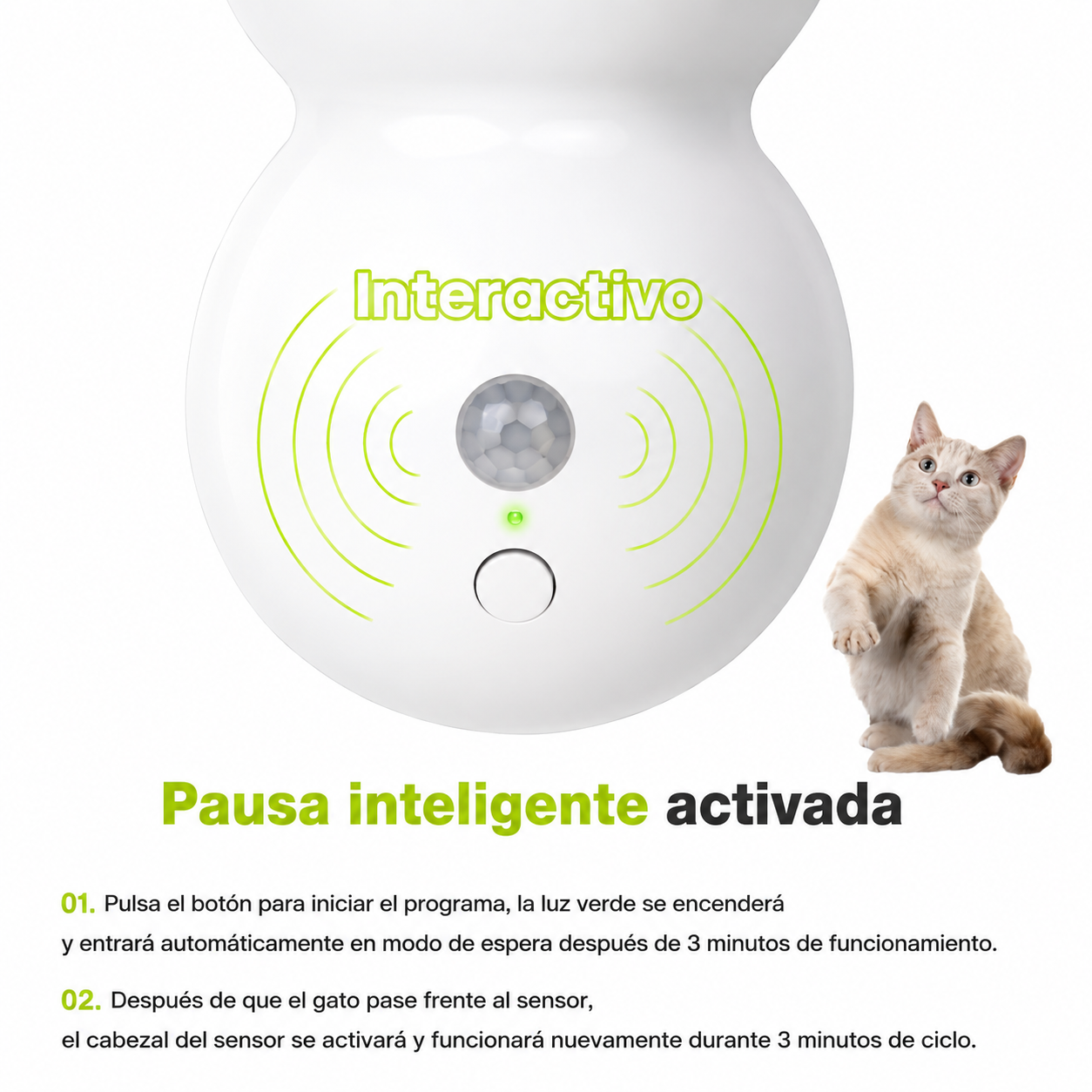 Kitzy™
