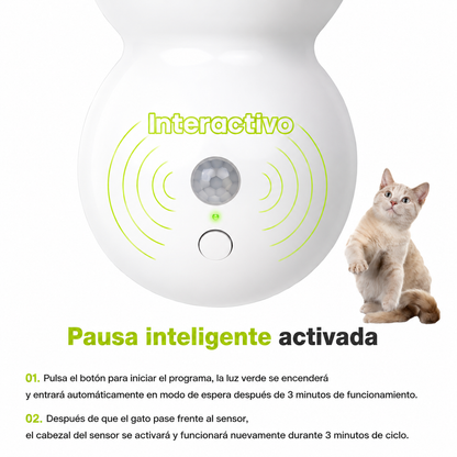 Kitzy™