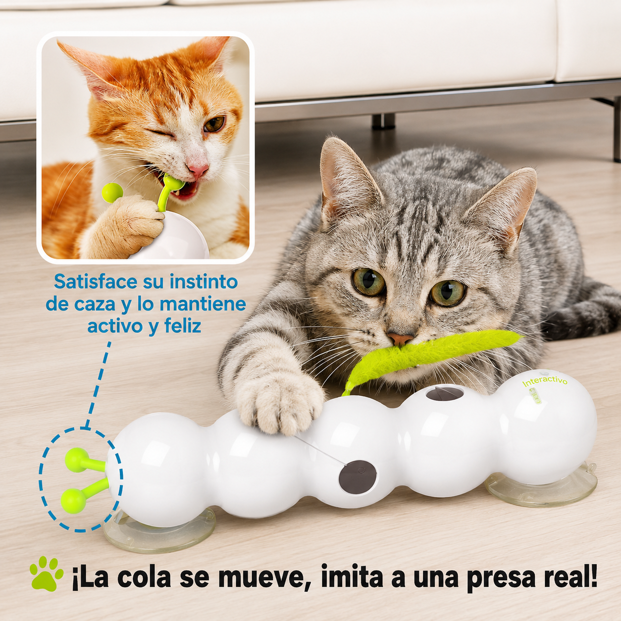Kitzy™