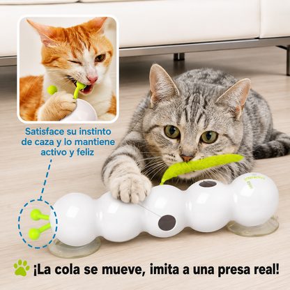 Kitzy™